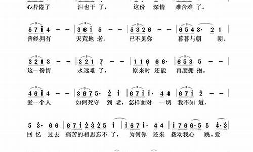 新不了情 歌词_新不了情歌词表达了什么意