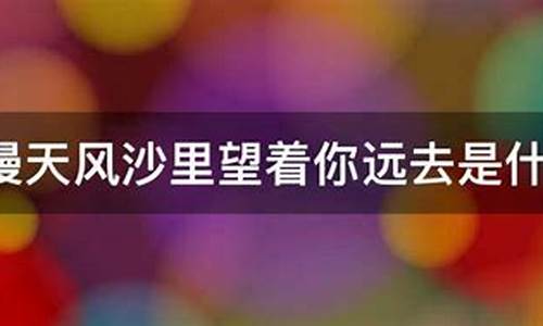 在漫天风沙里望着你远去是什么歌_歌词在漫