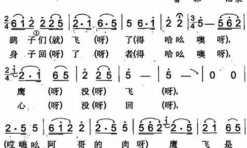 鸽子飞了鹰没飞歌词是什么歌_鸽子飞了鹰没飞歌词