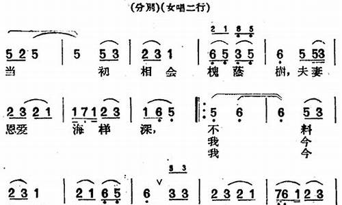 树上的鸟儿成双对歌词_黄梅戏歌词