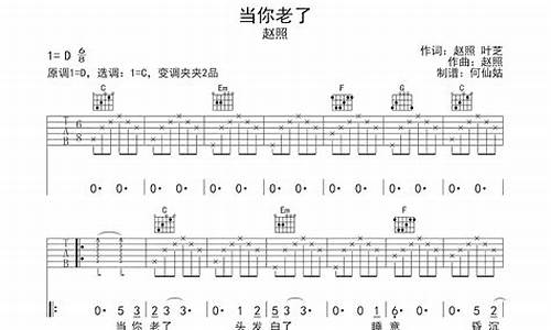 当我老了_当我老了歌曲原唱歌词